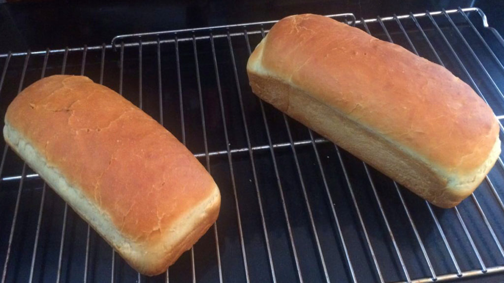 pane sandwich bread